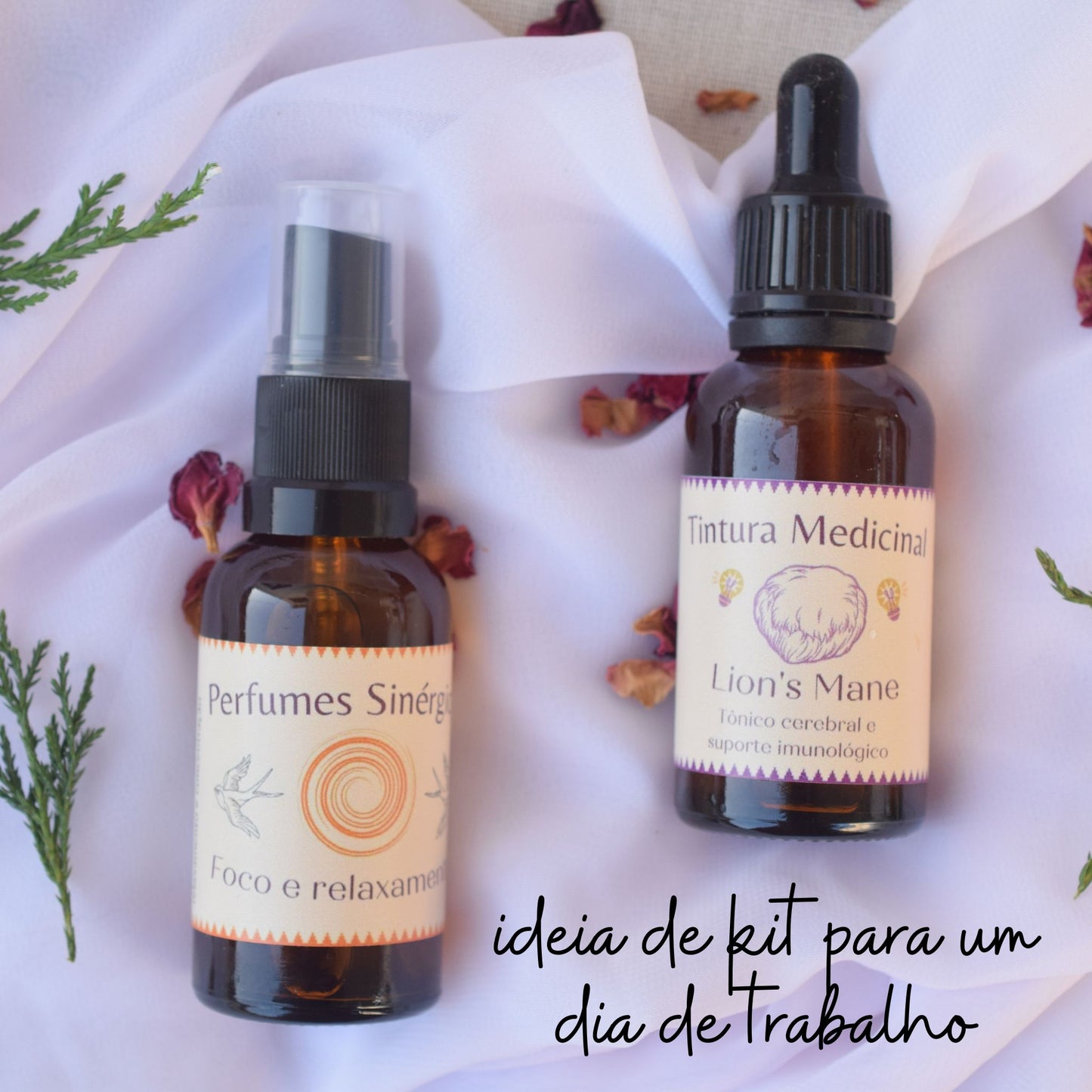 Lion's Mane Tincture - Brain tonic and immune support